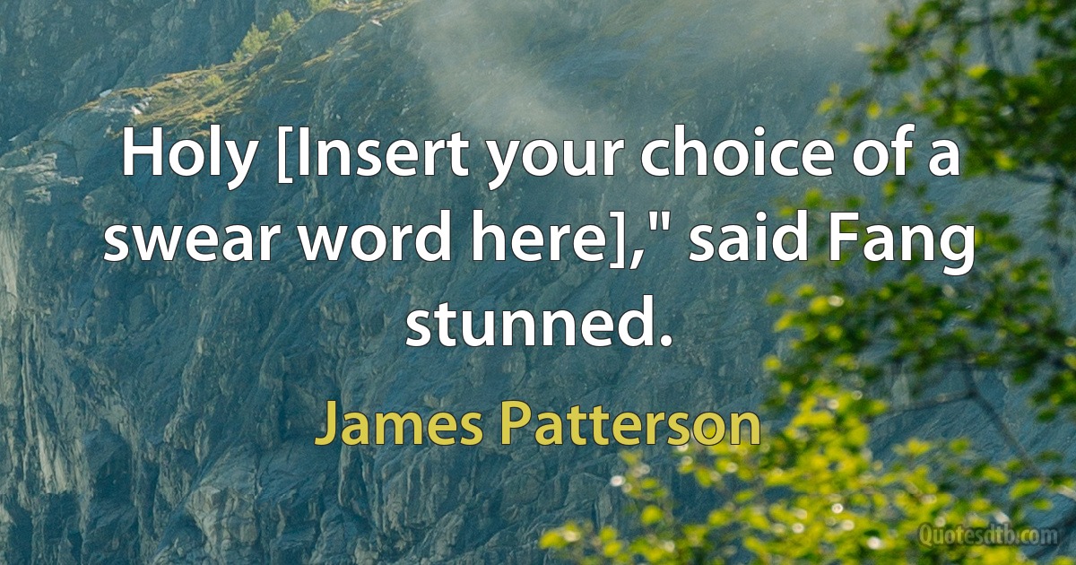 Holy [Insert your choice of a swear word here]," said Fang stunned. (James Patterson)