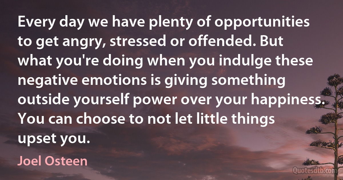 Every day we have plenty of opportunities to get angry, stressed or offended. But what you're doing when you indulge these negative emotions is giving something outside yourself power over your happiness. You can choose to not let little things upset you. (Joel Osteen)