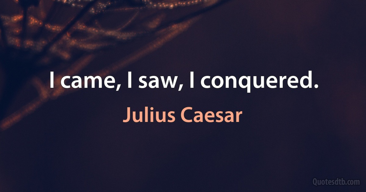 I came, I saw, I conquered. (Julius Caesar)