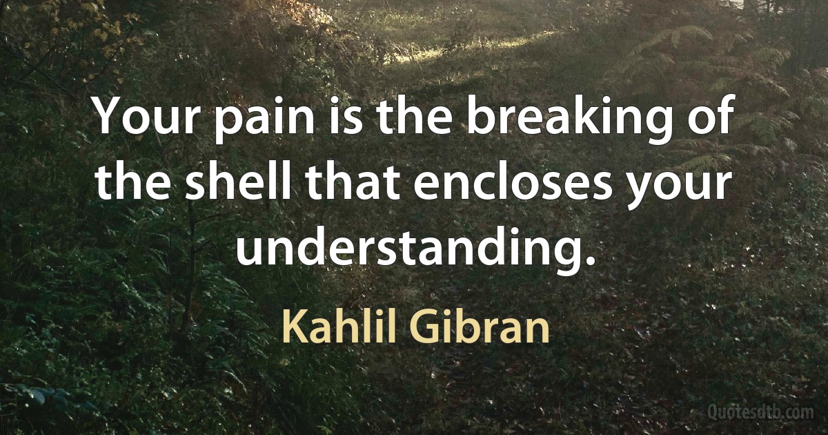 Your pain is the breaking of the shell that encloses your understanding. (Kahlil Gibran)