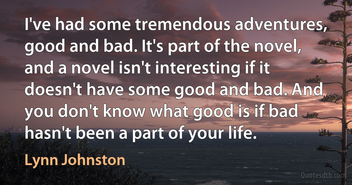 I've had some tremendous adventures, good and bad. It's part of the novel, and a novel isn't interesting if it doesn't have some good and bad. And you don't know what good is if bad hasn't been a part of your life. (Lynn Johnston)