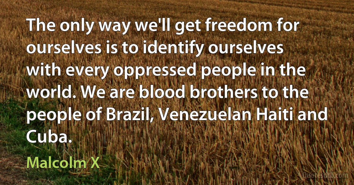 The only way we'll get freedom for ourselves is to identify ourselves with every oppressed people in the world. We are blood brothers to the people of Brazil, Venezuelan Haiti and Cuba. (Malcolm X)