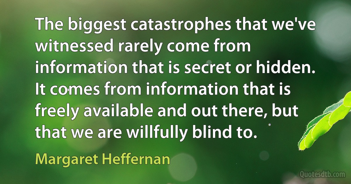 The biggest catastrophes that we've witnessed rarely come from information that is secret or hidden. It comes from information that is freely available and out there, but that we are willfully blind to. (Margaret Heffernan)