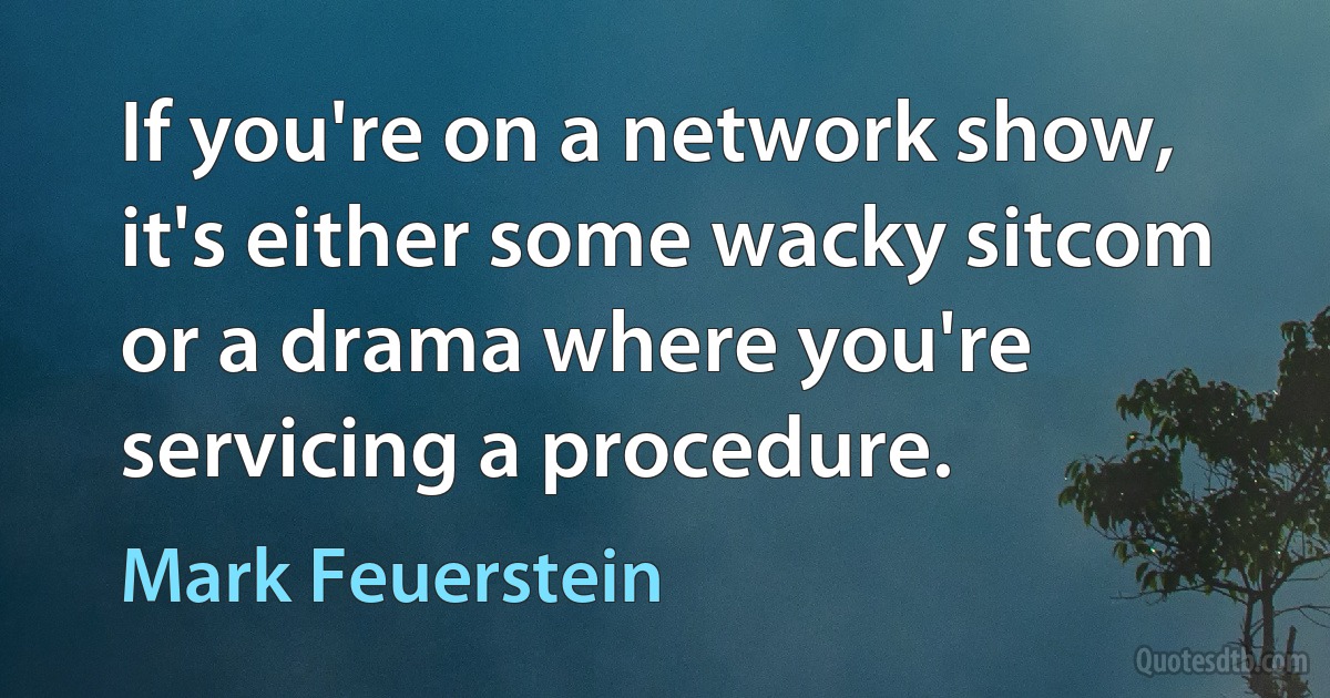 If you're on a network show, it's either some wacky sitcom or a drama where you're servicing a procedure. (Mark Feuerstein)