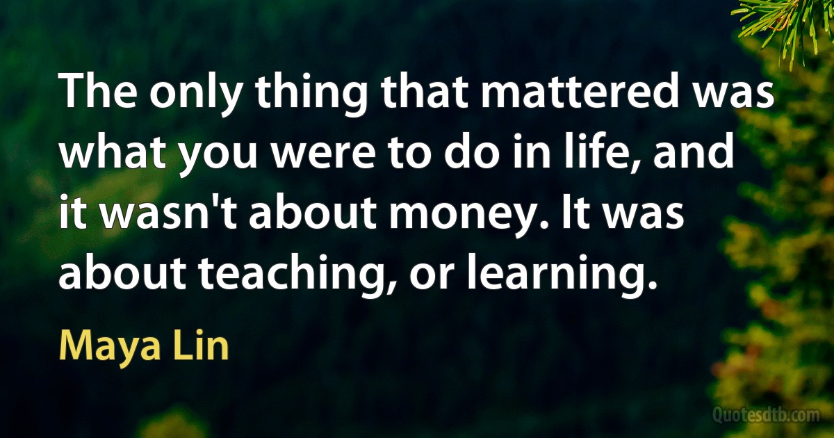 The only thing that mattered was what you were to do in life, and it wasn't about money. It was about teaching, or learning. (Maya Lin)