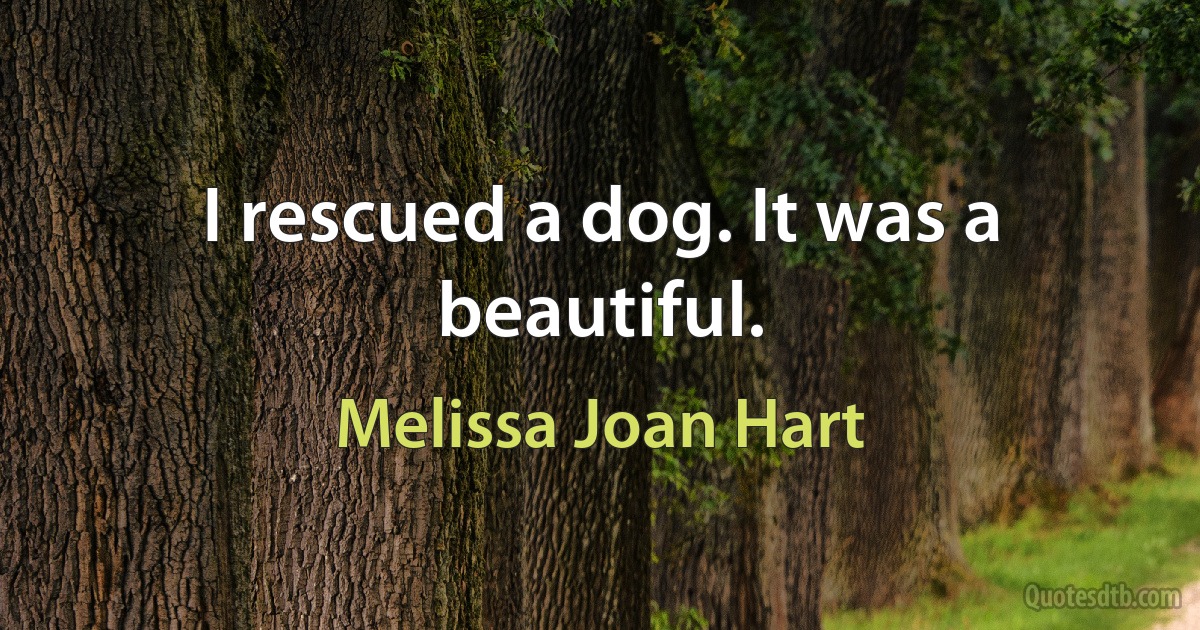 I rescued a dog. It was a beautiful. (Melissa Joan Hart)