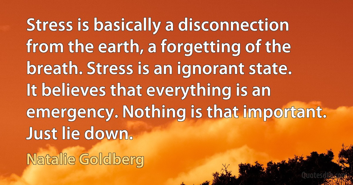 Stress is basically a disconnection from the earth, a forgetting of the breath. Stress is an ignorant state. It believes that everything is an emergency. Nothing is that important. Just lie down. (Natalie Goldberg)