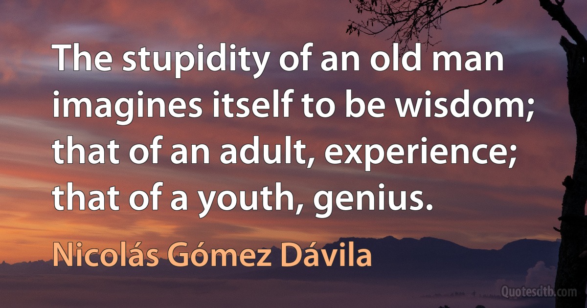 The stupidity of an old man imagines itself to be wisdom; that of an adult, experience; that of a youth, genius. (Nicolás Gómez Dávila)