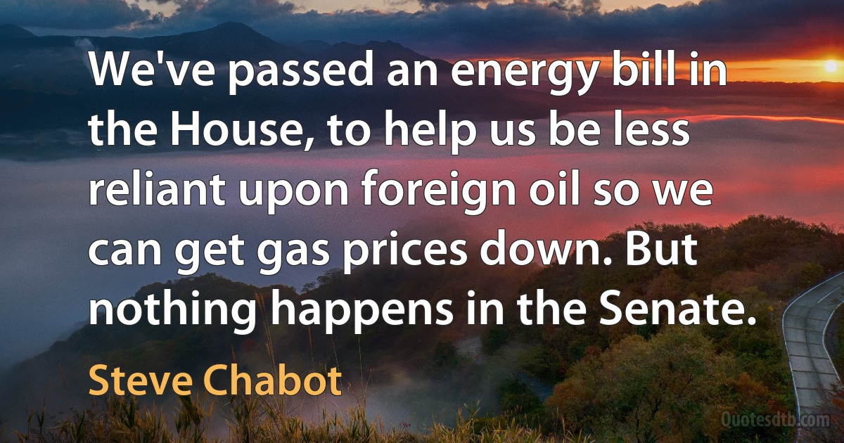 We've passed an energy bill in the House, to help us be less reliant upon foreign oil so we can get gas prices down. But nothing happens in the Senate. (Steve Chabot)