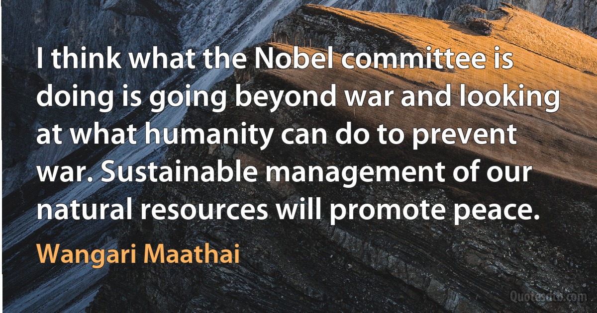 I think what the Nobel committee is doing is going beyond war and looking at what humanity can do to prevent war. Sustainable management of our natural resources will promote peace. (Wangari Maathai)