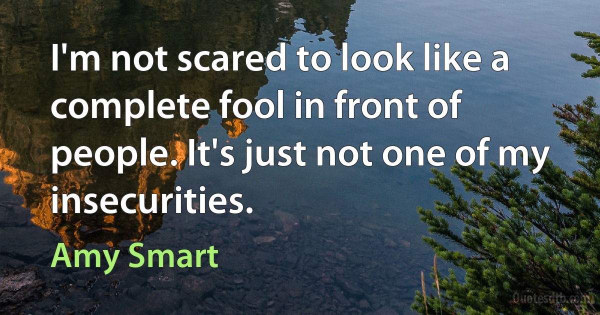 I'm not scared to look like a complete fool in front of people. It's just not one of my insecurities. (Amy Smart)