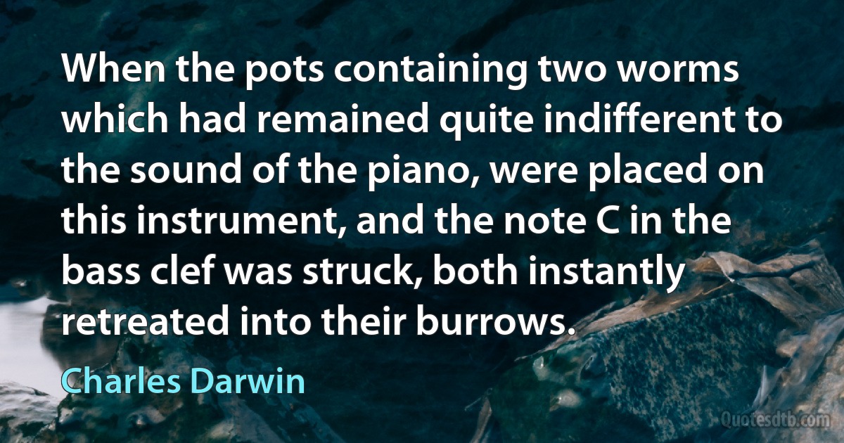 When the pots containing two worms which had remained quite indifferent to the sound of the piano, were placed on this instrument, and the note C in the bass clef was struck, both instantly retreated into their burrows. (Charles Darwin)