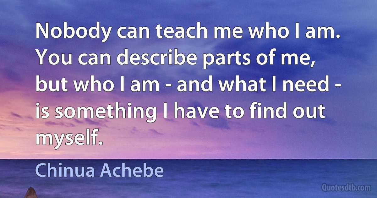 Nobody can teach me who I am. You can describe parts of me, but who I am - and what I need - is something I have to find out myself. (Chinua Achebe)