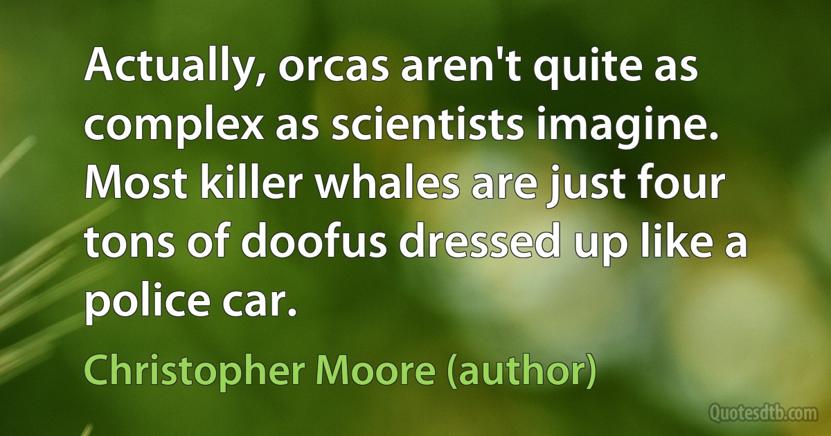 Actually, orcas aren't quite as complex as scientists imagine. Most killer whales are just four tons of doofus dressed up like a police car. (Christopher Moore (author))