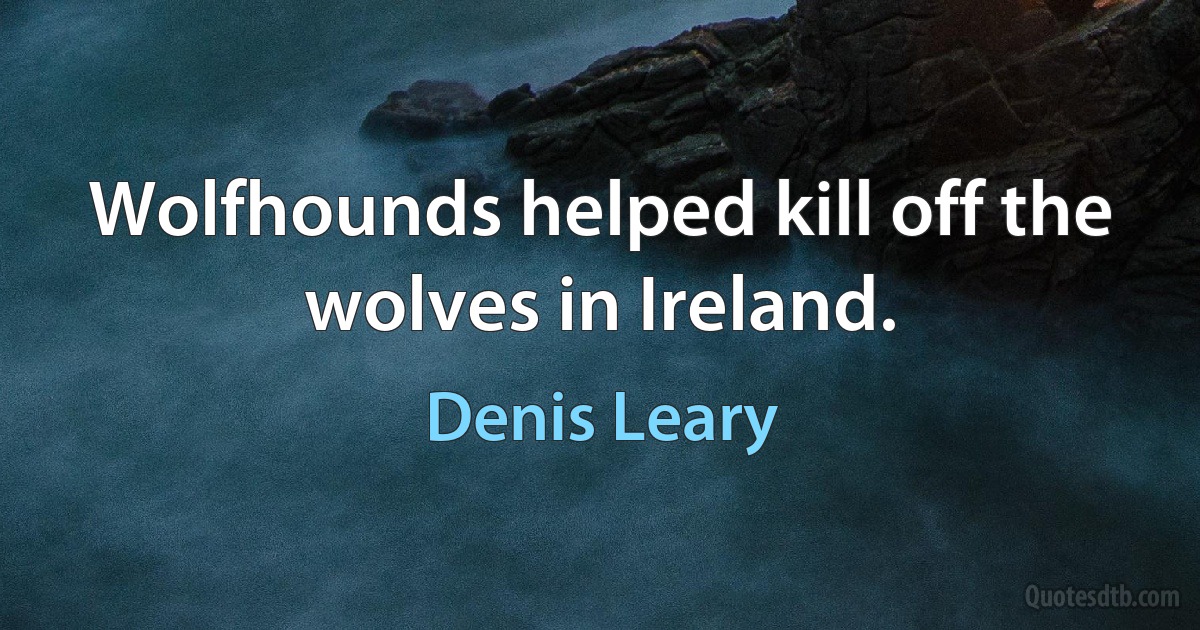 Wolfhounds helped kill off the wolves in Ireland. (Denis Leary)