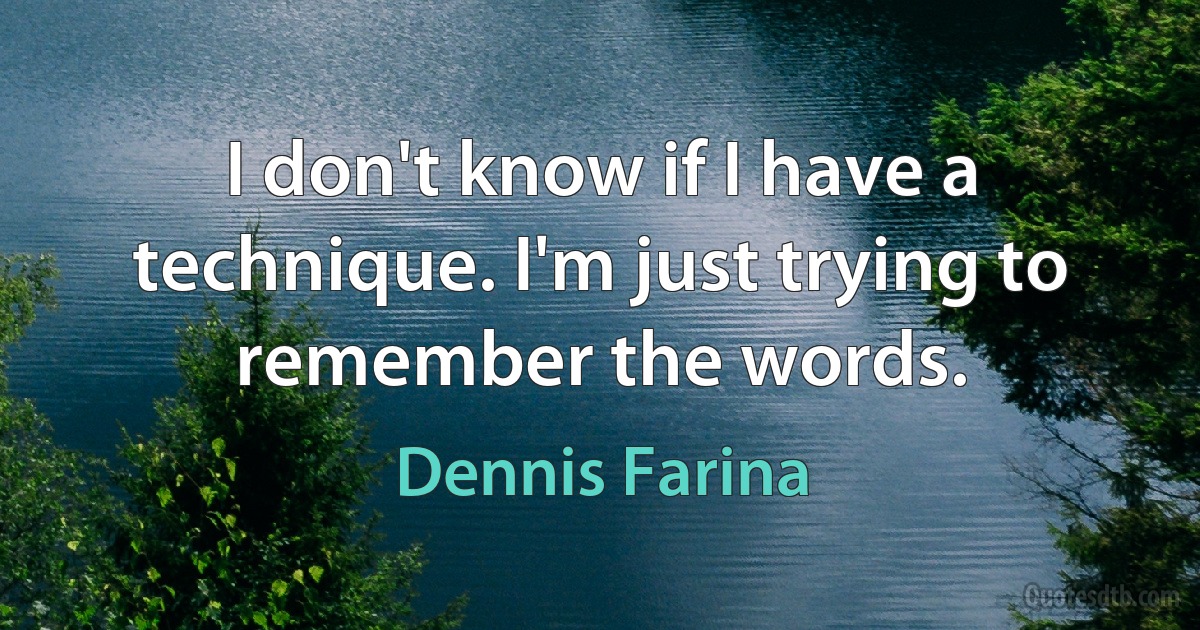 I don't know if I have a technique. I'm just trying to remember the words. (Dennis Farina)