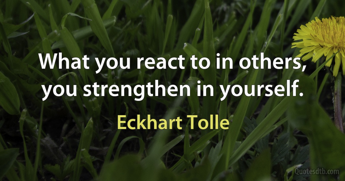 What you react to in others, you strengthen in yourself. (Eckhart Tolle)