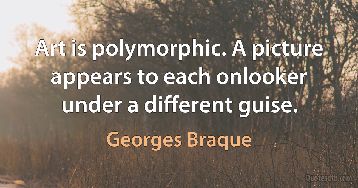 Art is polymorphic. A picture appears to each onlooker under a different guise. (Georges Braque)