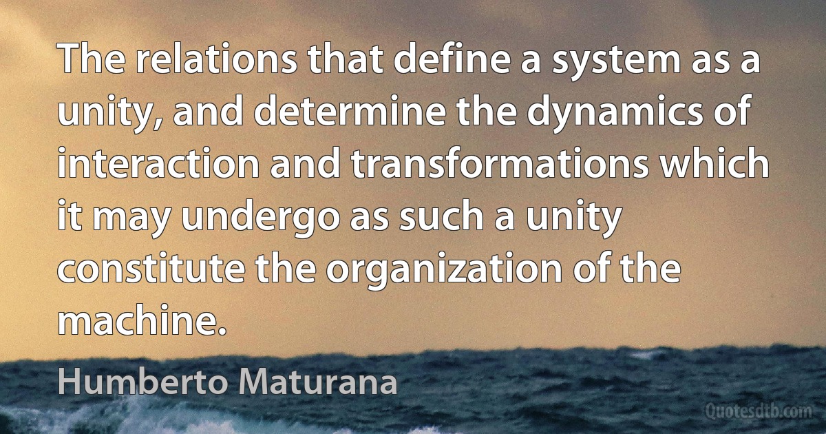 The relations that define a system as a unity, and determine the dynamics of interaction and transformations which it may undergo as such a unity constitute the organization of the machine. (Humberto Maturana)