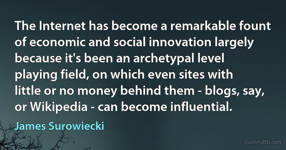 The Internet has become a remarkable fount of economic and social innovation largely because it's been an archetypal level playing field, on which even sites with little or no money behind them - blogs, say, or Wikipedia - can become influential. (James Surowiecki)