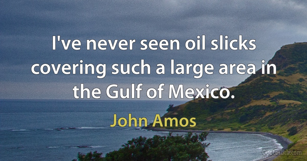 I've never seen oil slicks covering such a large area in the Gulf of Mexico. (John Amos)