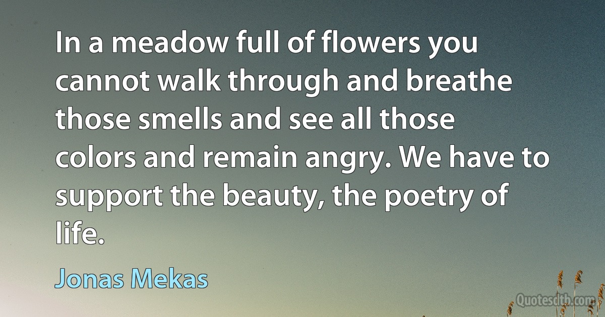 In a meadow full of flowers you cannot walk through and breathe those smells and see all those colors and remain angry. We have to support the beauty, the poetry of life. (Jonas Mekas)