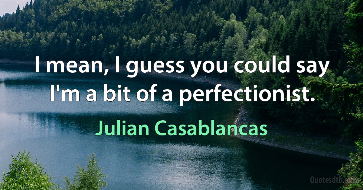 I mean, I guess you could say I'm a bit of a perfectionist. (Julian Casablancas)