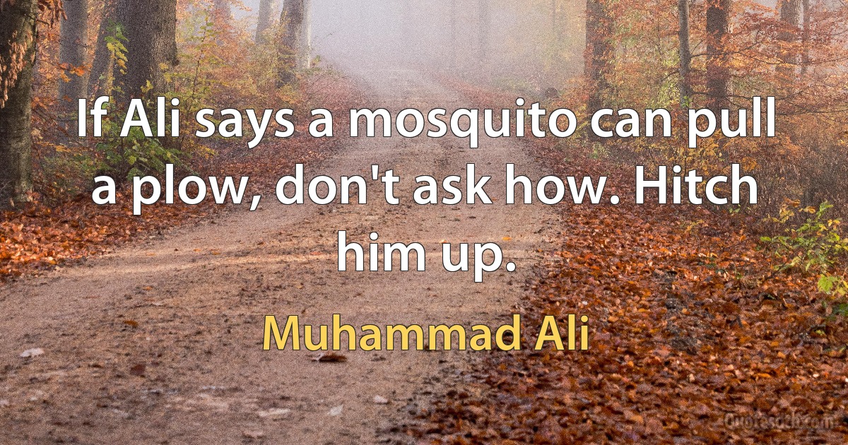 If Ali says a mosquito can pull a plow, don't ask how. Hitch him up. (Muhammad Ali)