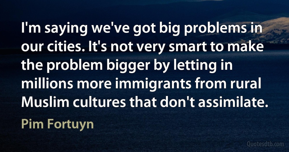 I'm saying we've got big problems in our cities. It's not very smart to make the problem bigger by letting in millions more immigrants from rural Muslim cultures that don't assimilate. (Pim Fortuyn)