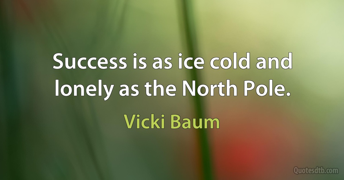 Success is as ice cold and lonely as the North Pole. (Vicki Baum)