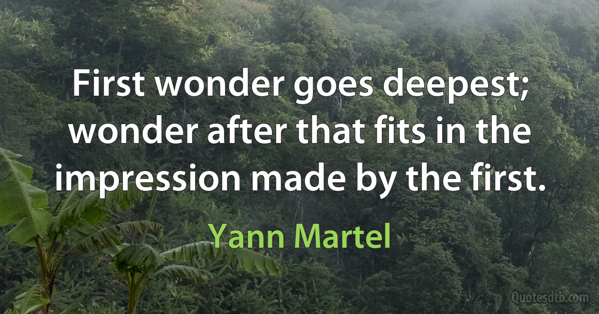 First wonder goes deepest; wonder after that fits in the impression made by the first. (Yann Martel)