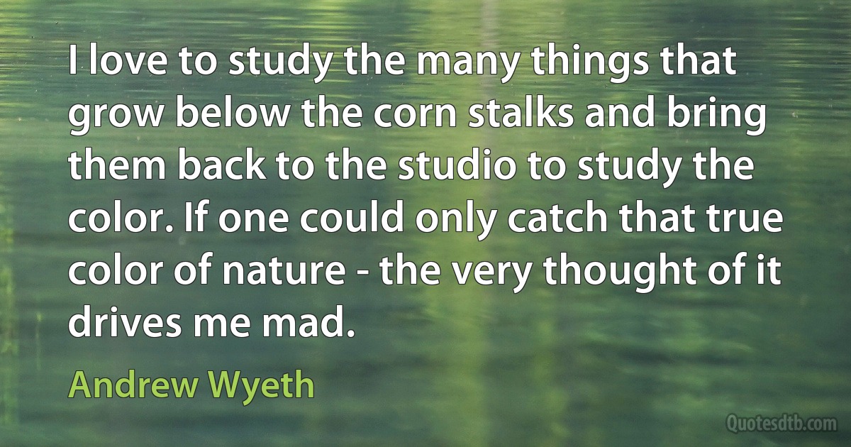 I love to study the many things that grow below the corn stalks and bring them back to the studio to study the color. If one could only catch that true color of nature - the very thought of it drives me mad. (Andrew Wyeth)