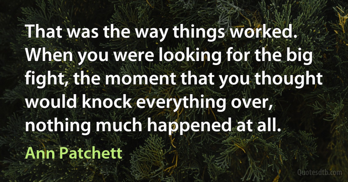 That was the way things worked. When you were looking for the big fight, the moment that you thought would knock everything over, nothing much happened at all. (Ann Patchett)