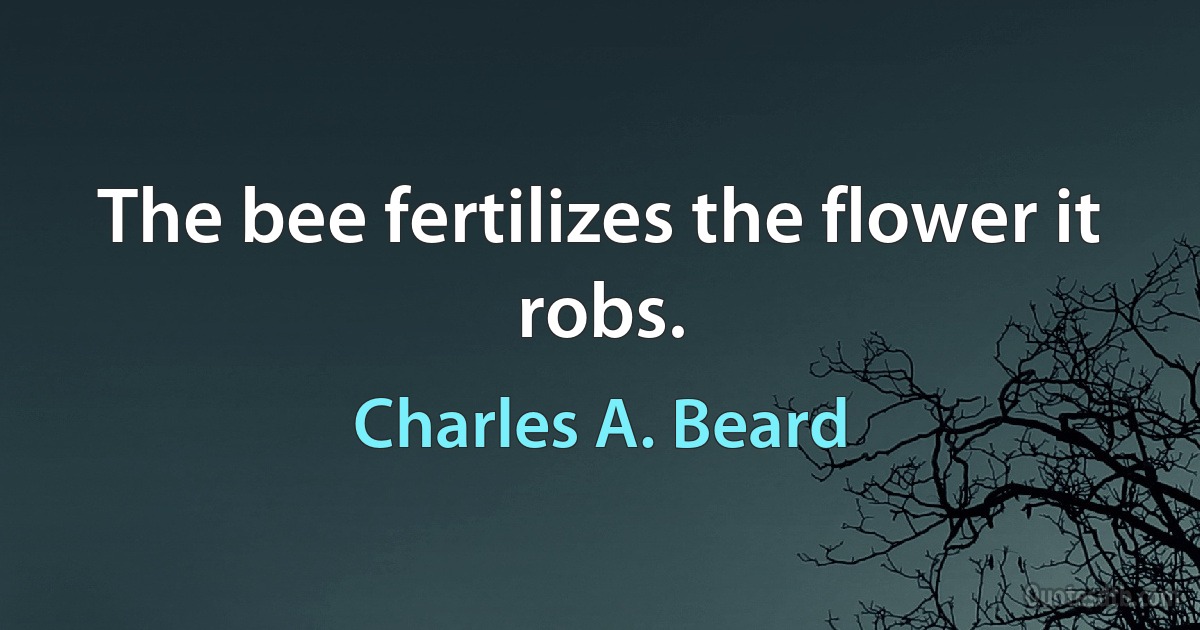 The bee fertilizes the flower it robs. (Charles A. Beard)