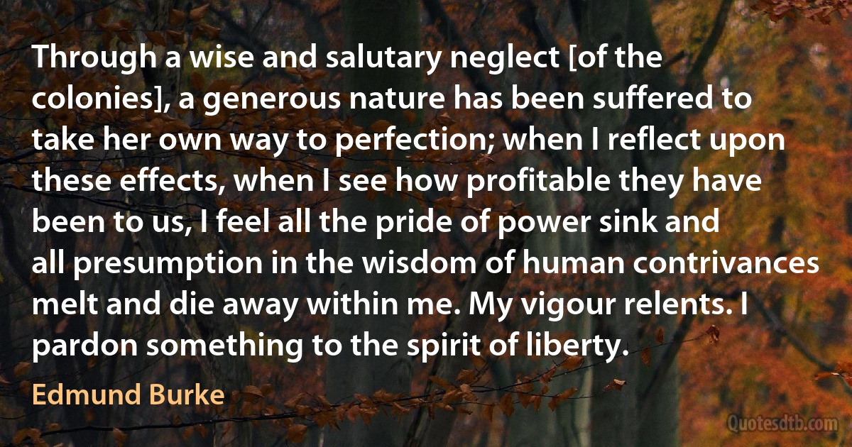 Through a wise and salutary neglect [of the colonies], a generous nature has been suffered to take her own way to perfection; when I reflect upon these effects, when I see how profitable they have been to us, I feel all the pride of power sink and all presumption in the wisdom of human contrivances melt and die away within me. My vigour relents. I pardon something to the spirit of liberty. (Edmund Burke)