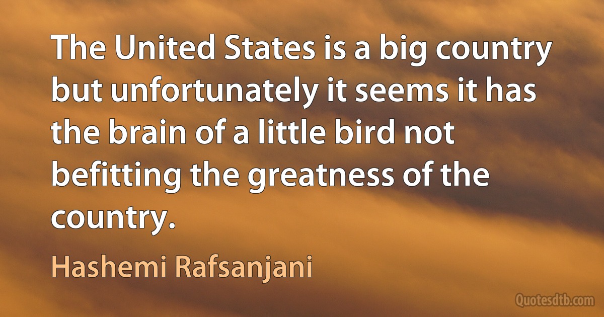 The United States is a big country but unfortunately it seems it has the brain of a little bird not befitting the greatness of the country. (Hashemi Rafsanjani)