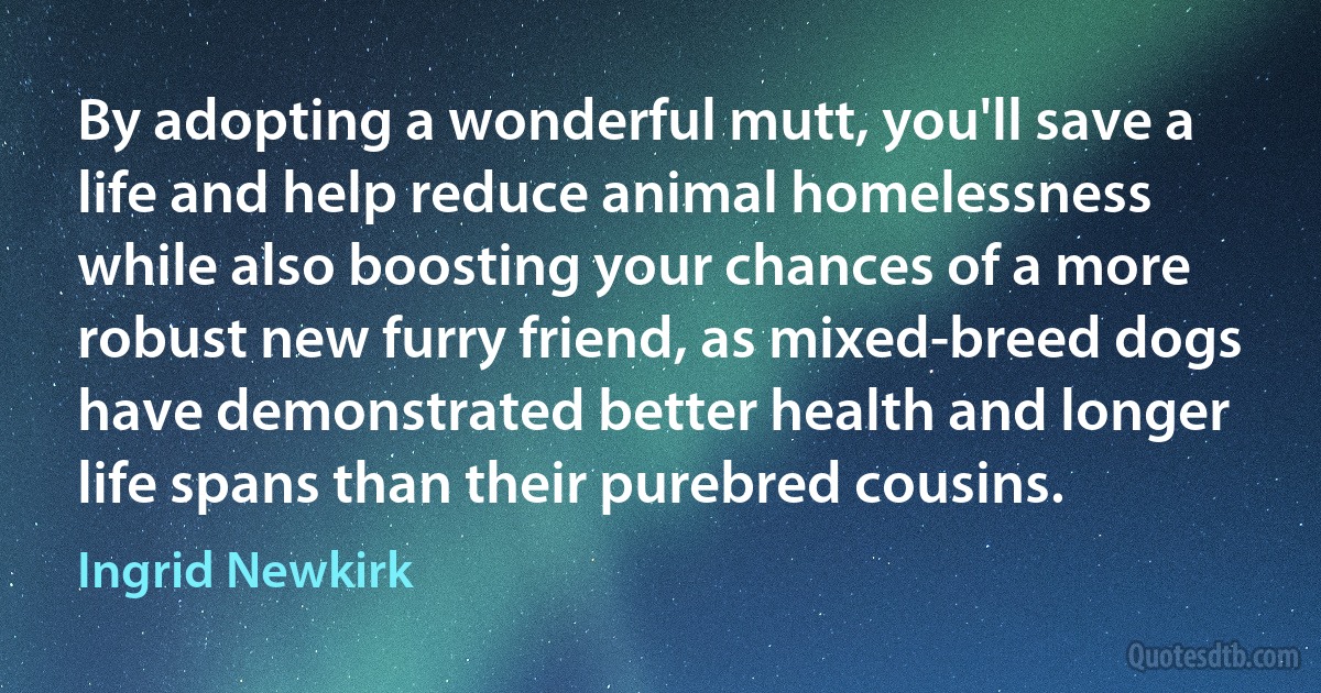 By adopting a wonderful mutt, you'll save a life and help reduce animal homelessness while also boosting your chances of a more robust new furry friend, as mixed-breed dogs have demonstrated better health and longer life spans than their purebred cousins. (Ingrid Newkirk)