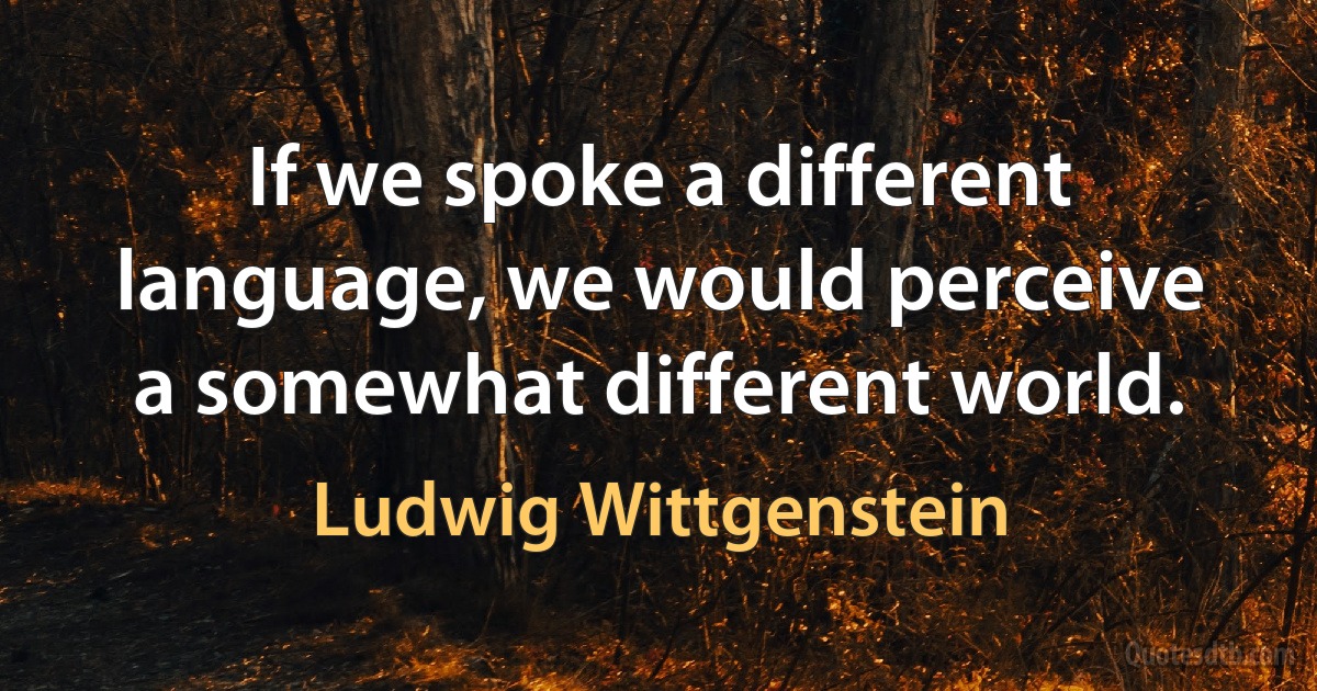 If we spoke a different language, we would perceive a somewhat different world. (Ludwig Wittgenstein)