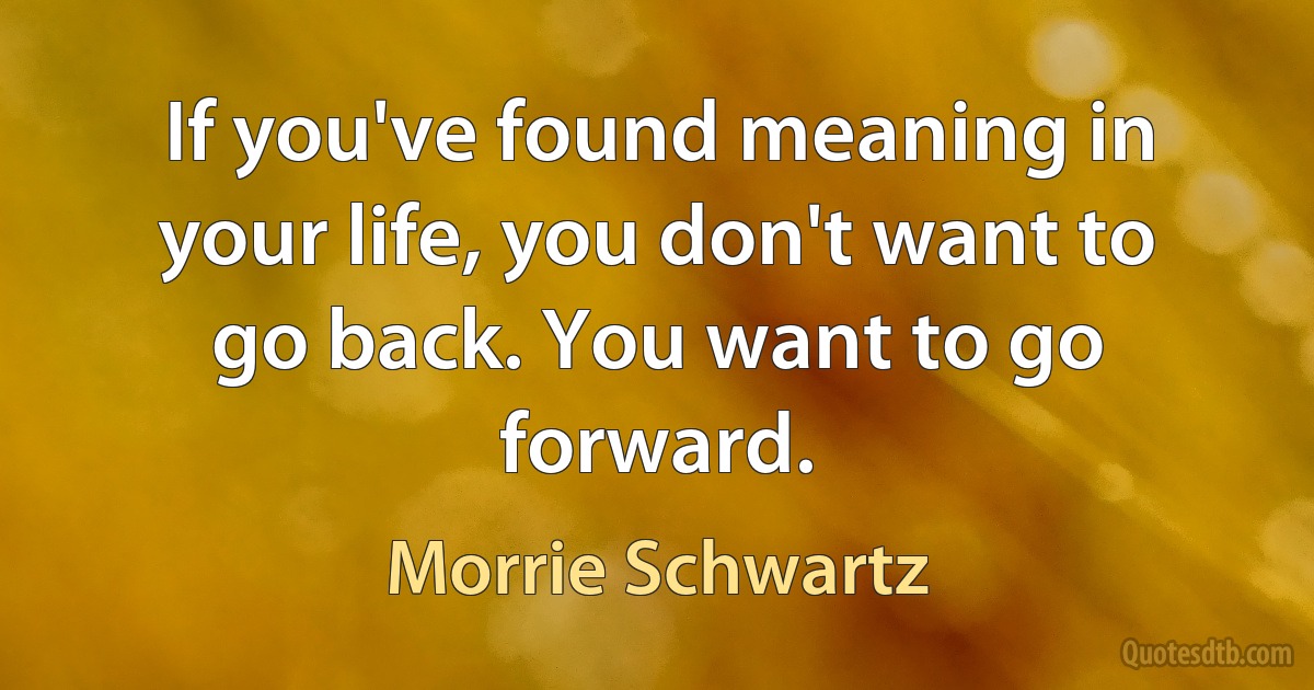 If you've found meaning in your life, you don't want to go back. You want to go forward. (Morrie Schwartz)