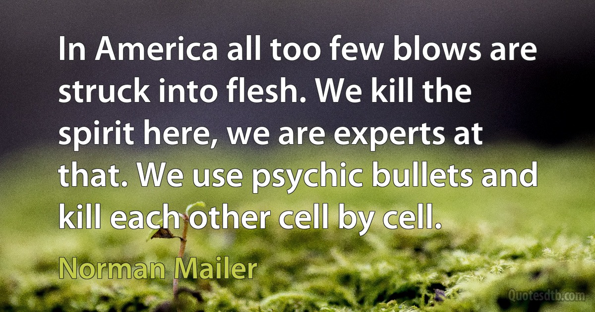 In America all too few blows are struck into flesh. We kill the spirit here, we are experts at that. We use psychic bullets and kill each other cell by cell. (Norman Mailer)