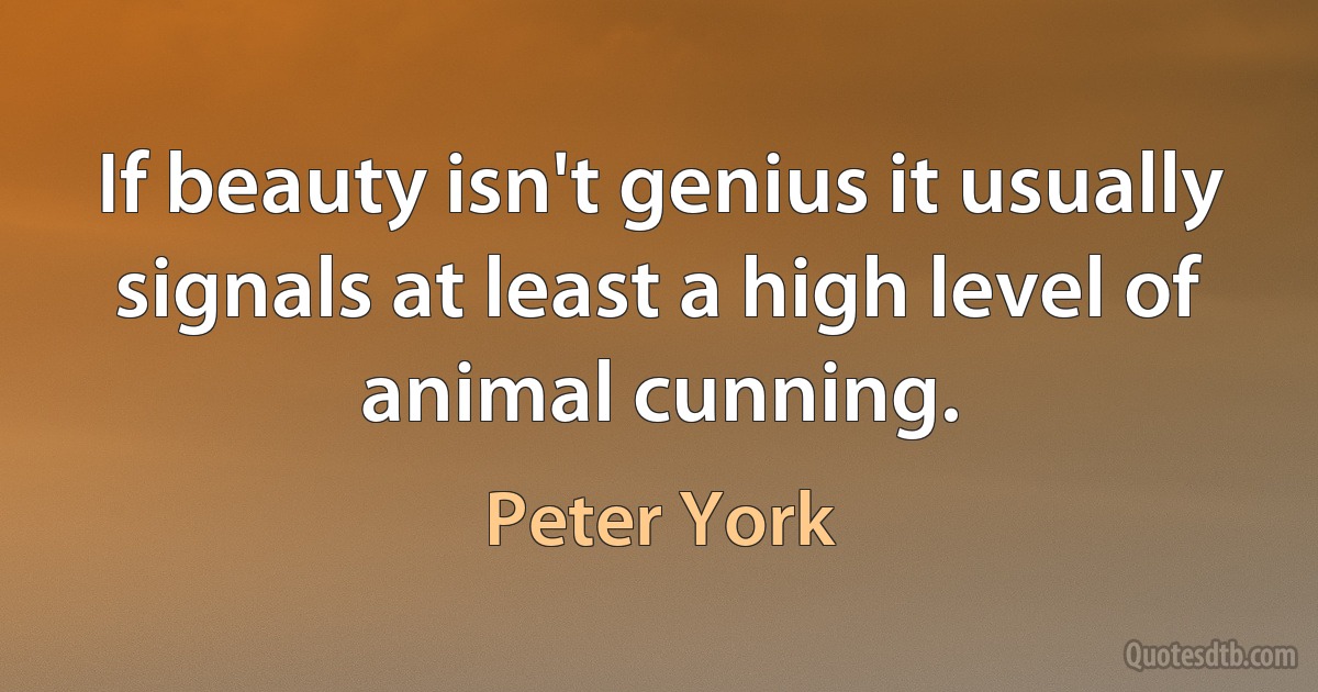 If beauty isn't genius it usually signals at least a high level of animal cunning. (Peter York)