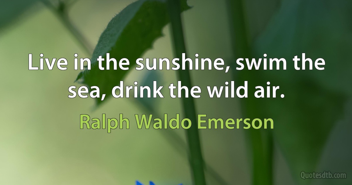 Live in the sunshine, swim the sea, drink the wild air. (Ralph Waldo Emerson)