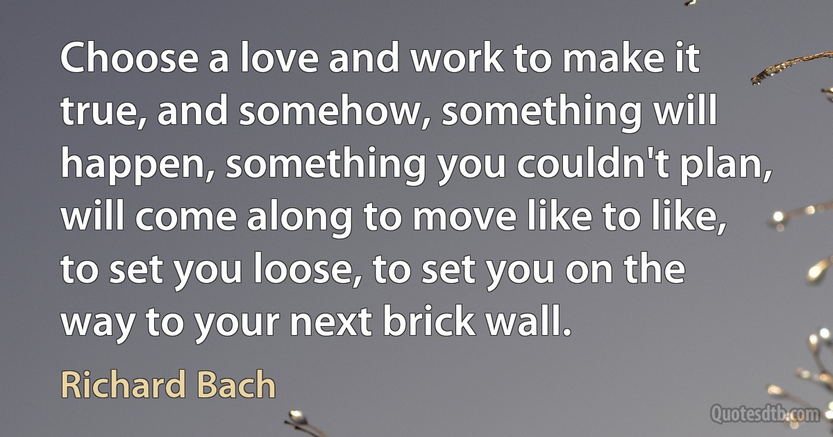 Choose a love and work to make it true, and somehow, something will happen, something you couldn't plan, will come along to move like to like, to set you loose, to set you on the way to your next brick wall. (Richard Bach)