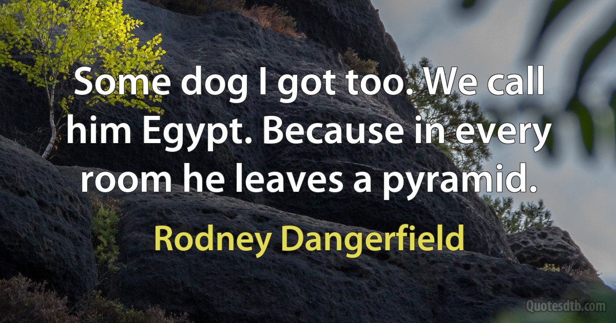 Some dog I got too. We call him Egypt. Because in every room he leaves a pyramid. (Rodney Dangerfield)