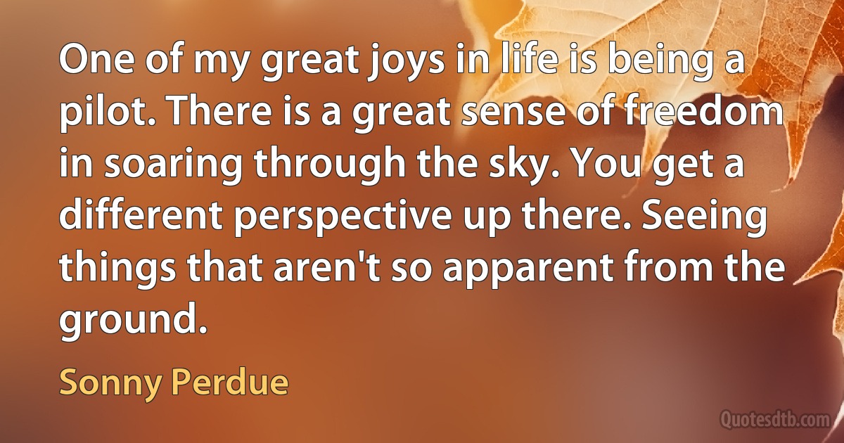 One of my great joys in life is being a pilot. There is a great sense of freedom in soaring through the sky. You get a different perspective up there. Seeing things that aren't so apparent from the ground. (Sonny Perdue)