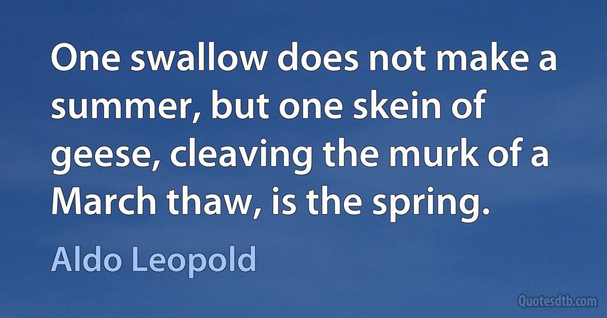 One swallow does not make a summer, but one skein of geese, cleaving the murk of a March thaw, is the spring. (Aldo Leopold)