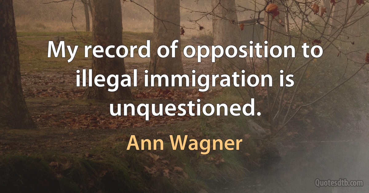 My record of opposition to illegal immigration is unquestioned. (Ann Wagner)