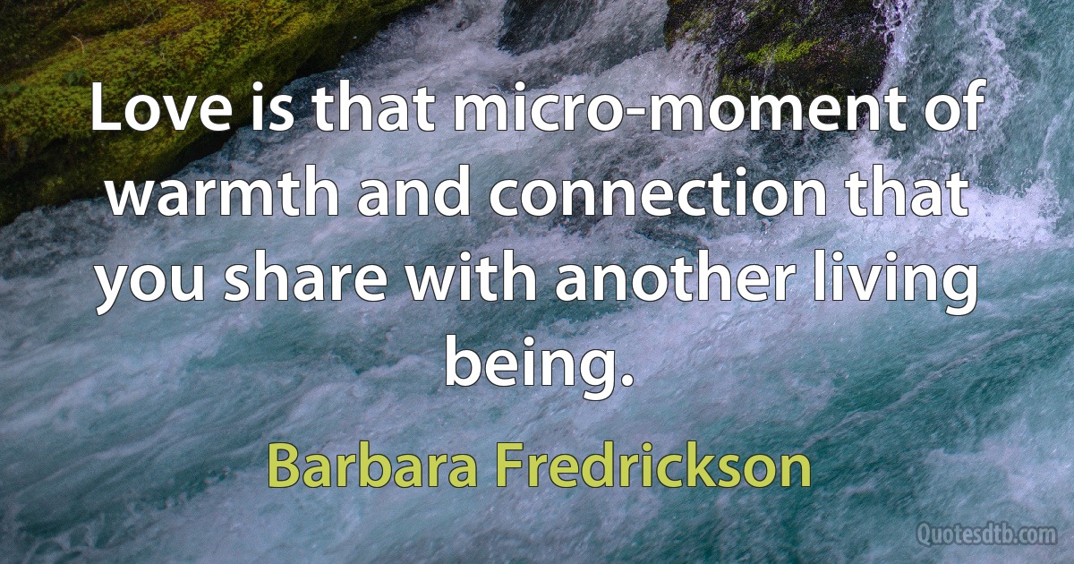 Love is that micro-moment of warmth and connection that you share with another living being. (Barbara Fredrickson)