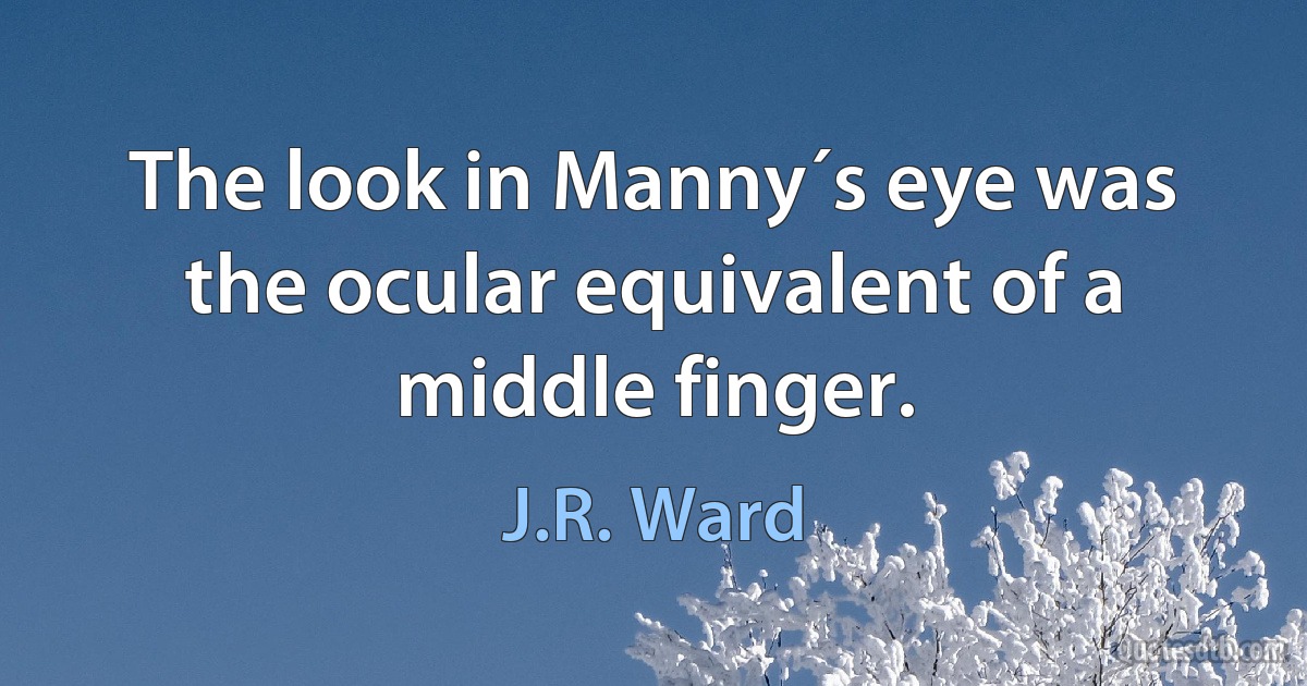 The look in Manny´s eye was the ocular equivalent of a middle finger. (J.R. Ward)