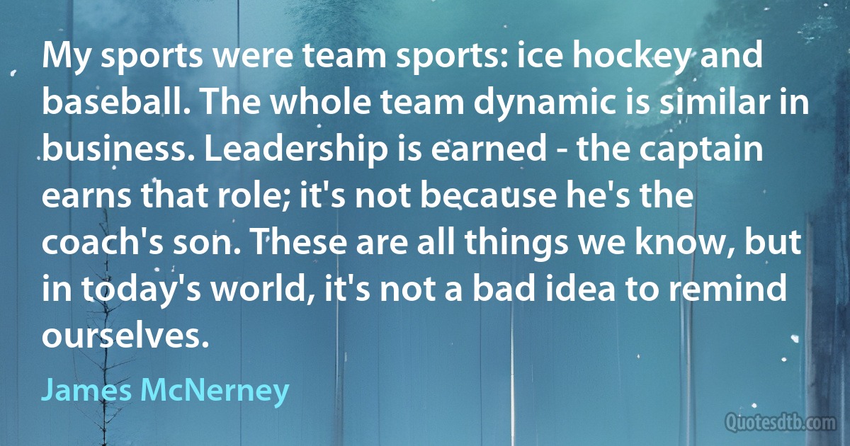 My sports were team sports: ice hockey and baseball. The whole team dynamic is similar in business. Leadership is earned - the captain earns that role; it's not because he's the coach's son. These are all things we know, but in today's world, it's not a bad idea to remind ourselves. (James McNerney)